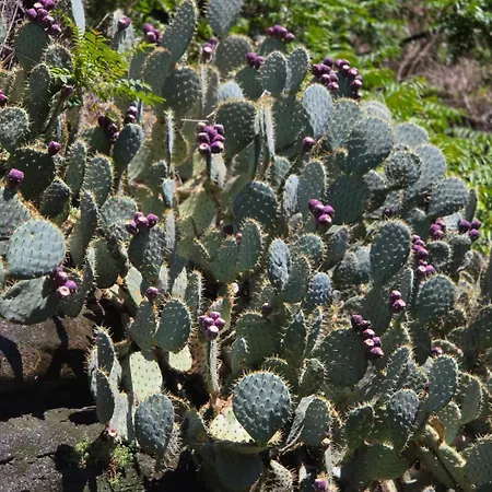 Ca Nulcin * Cernobbio