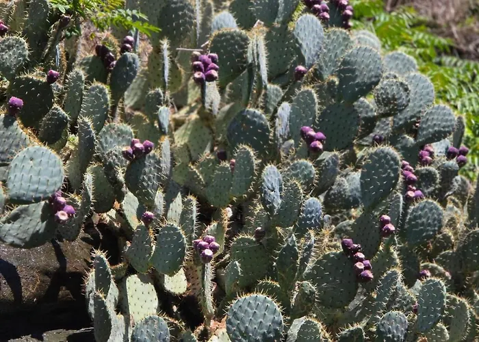 Ca Nulcin * Cernobbio