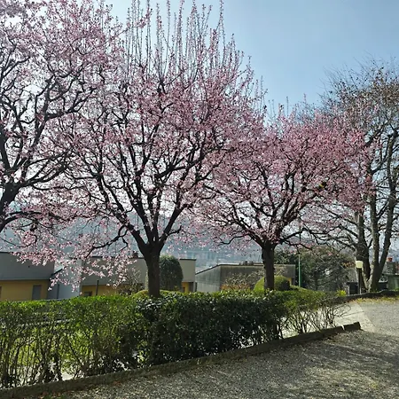 Ca Nulcin 케르노비오